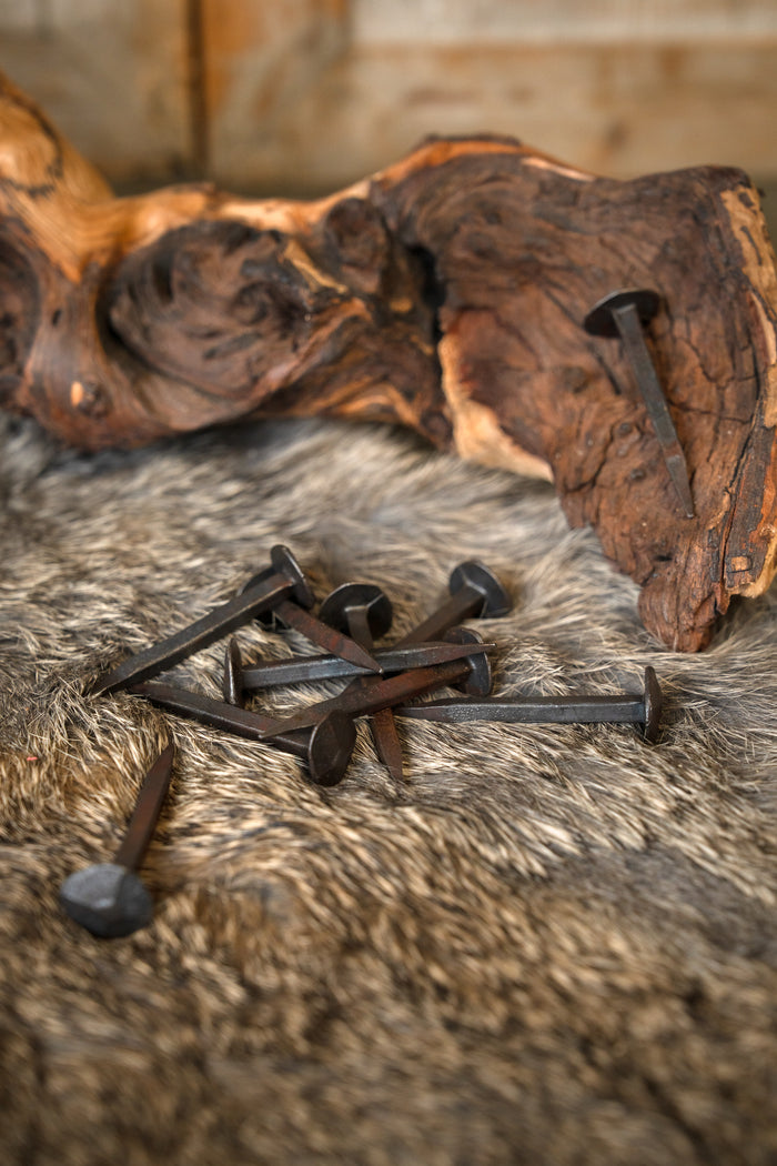 10 historische kurze Nägel