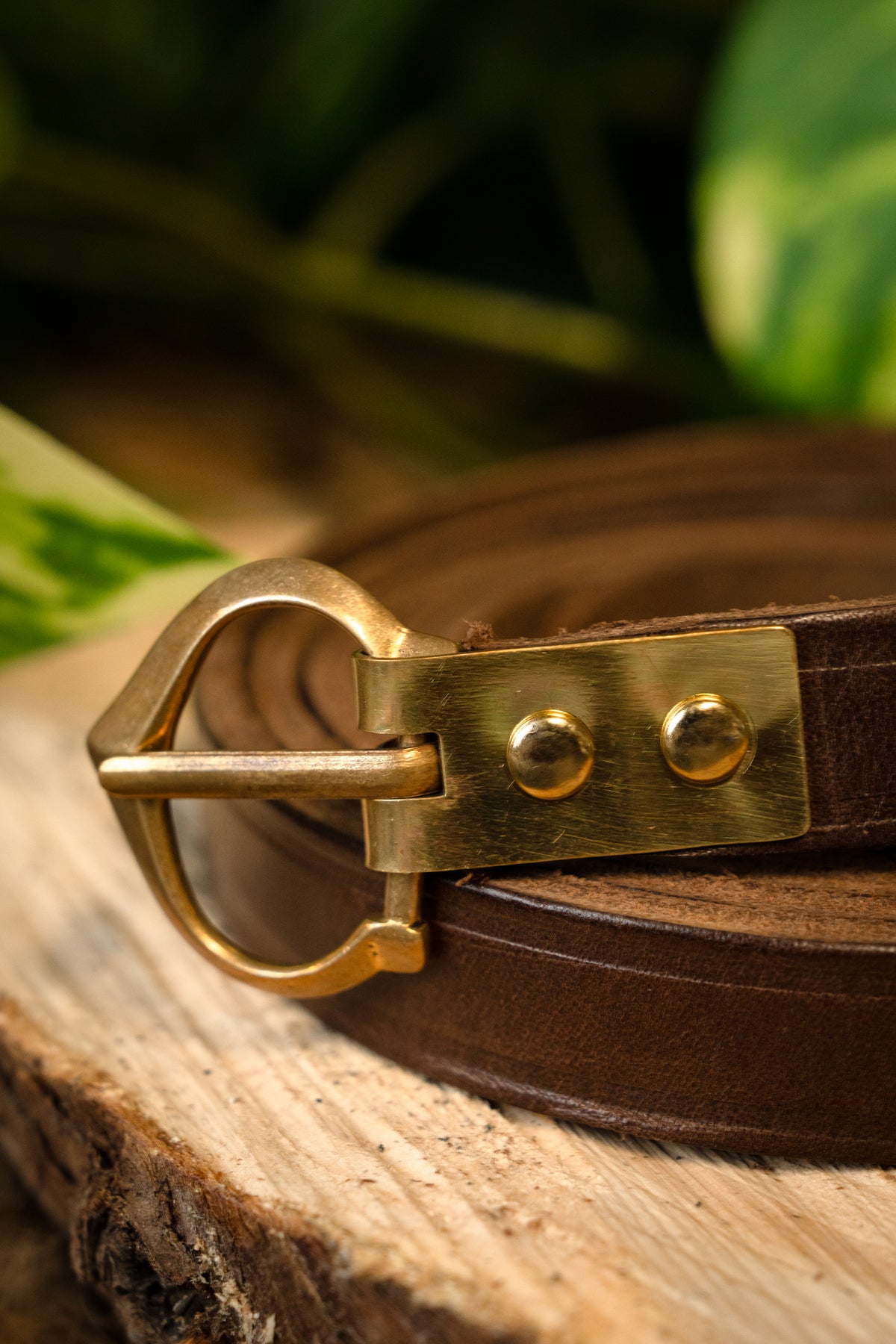 Bälte Beaufort från 1300 till 1400 talet, 151 cm, brun