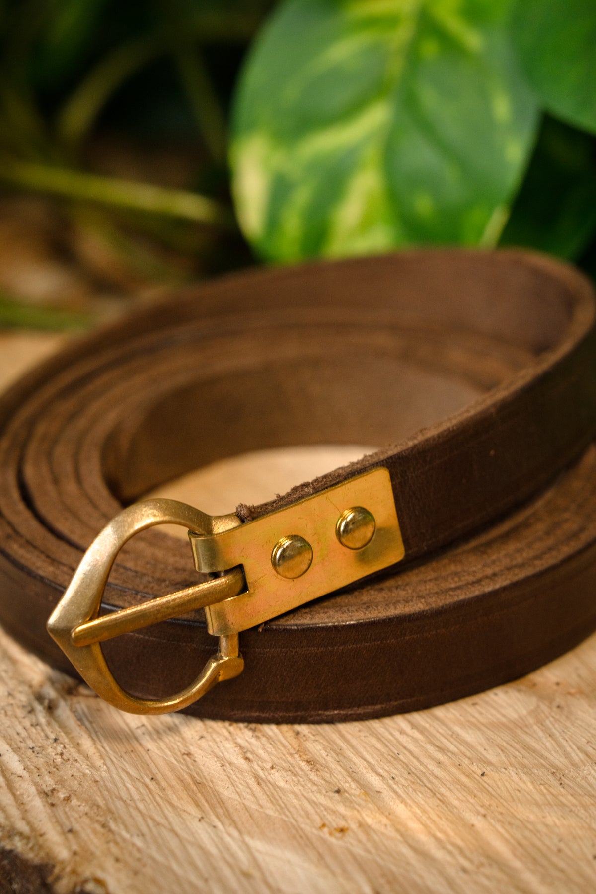 Bälte Beaufort från 1300 till 1400 talet, 151 cm, brun