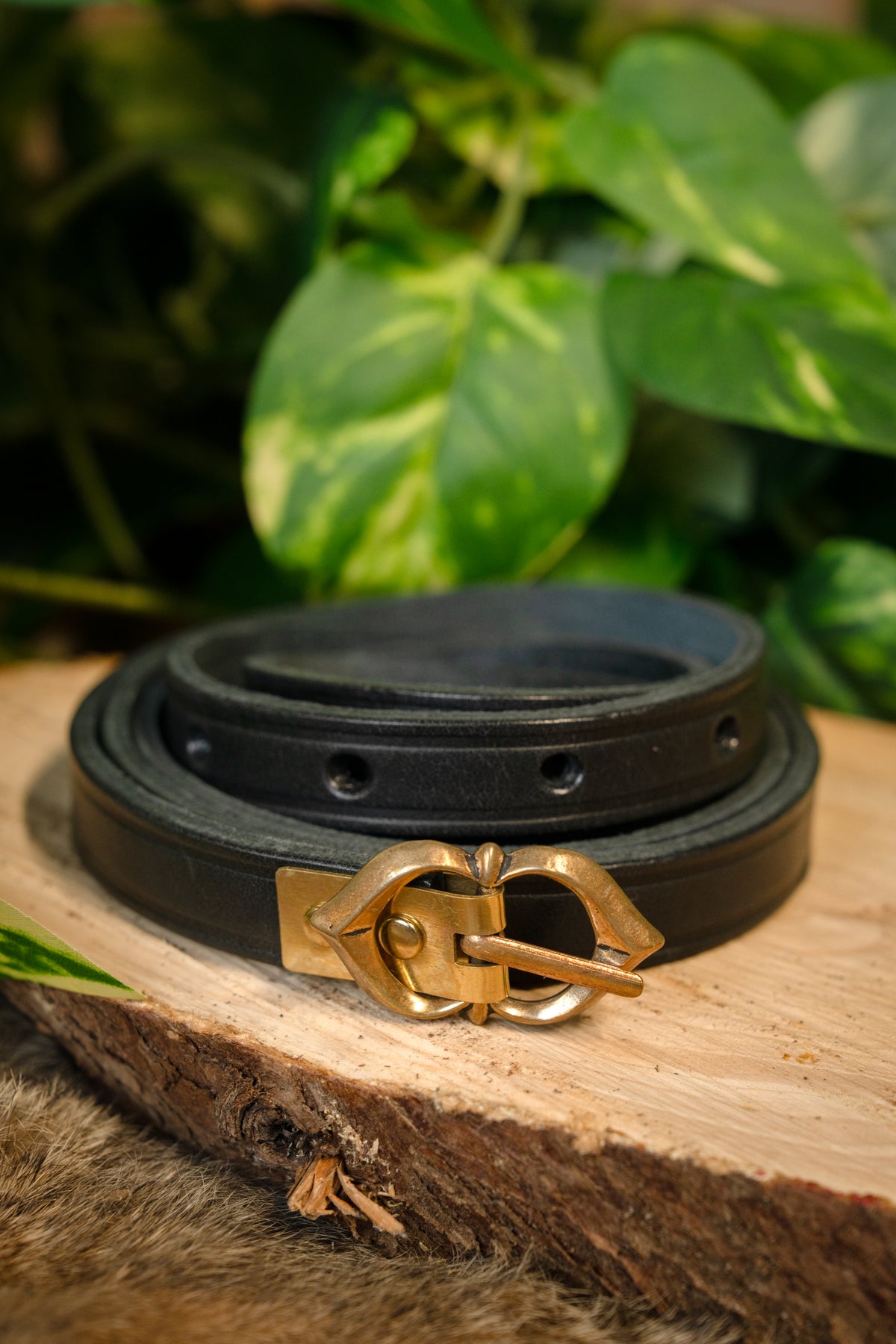 15. årh. bælte Warwick, sort, 151 cm