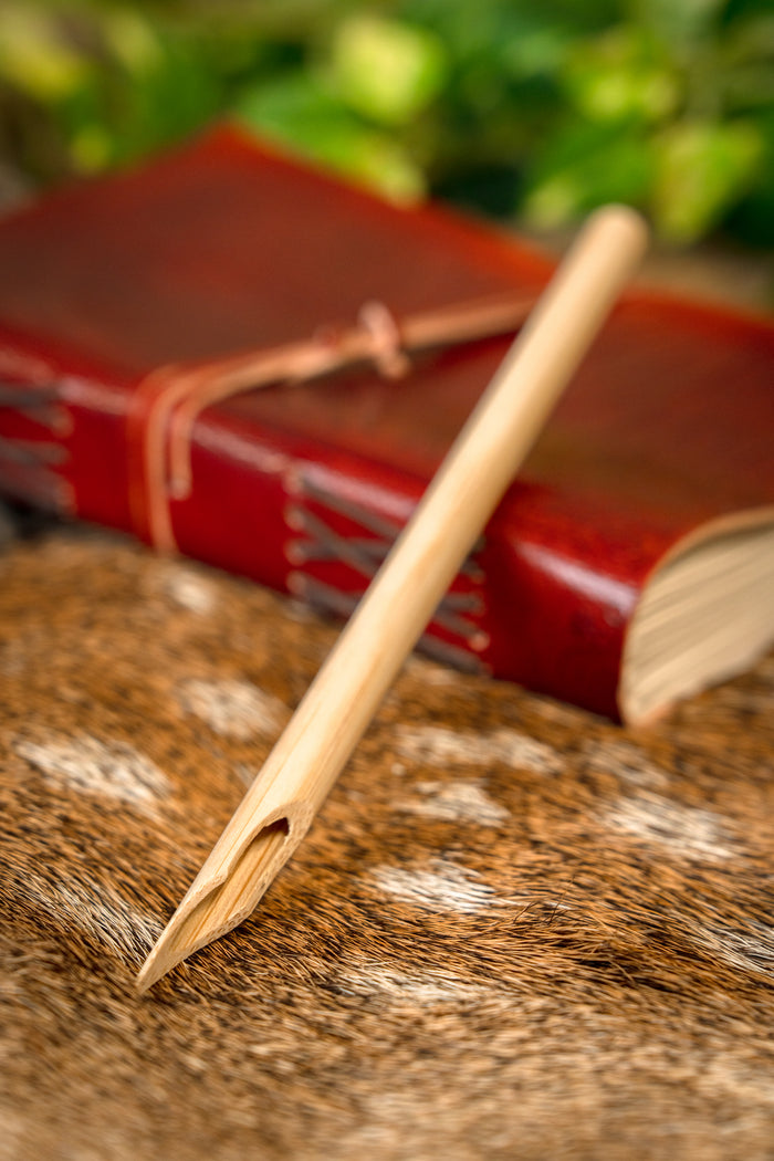 Calamus romano (pluma de escritura)