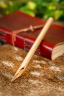 Romersk calamus (skrivepen)