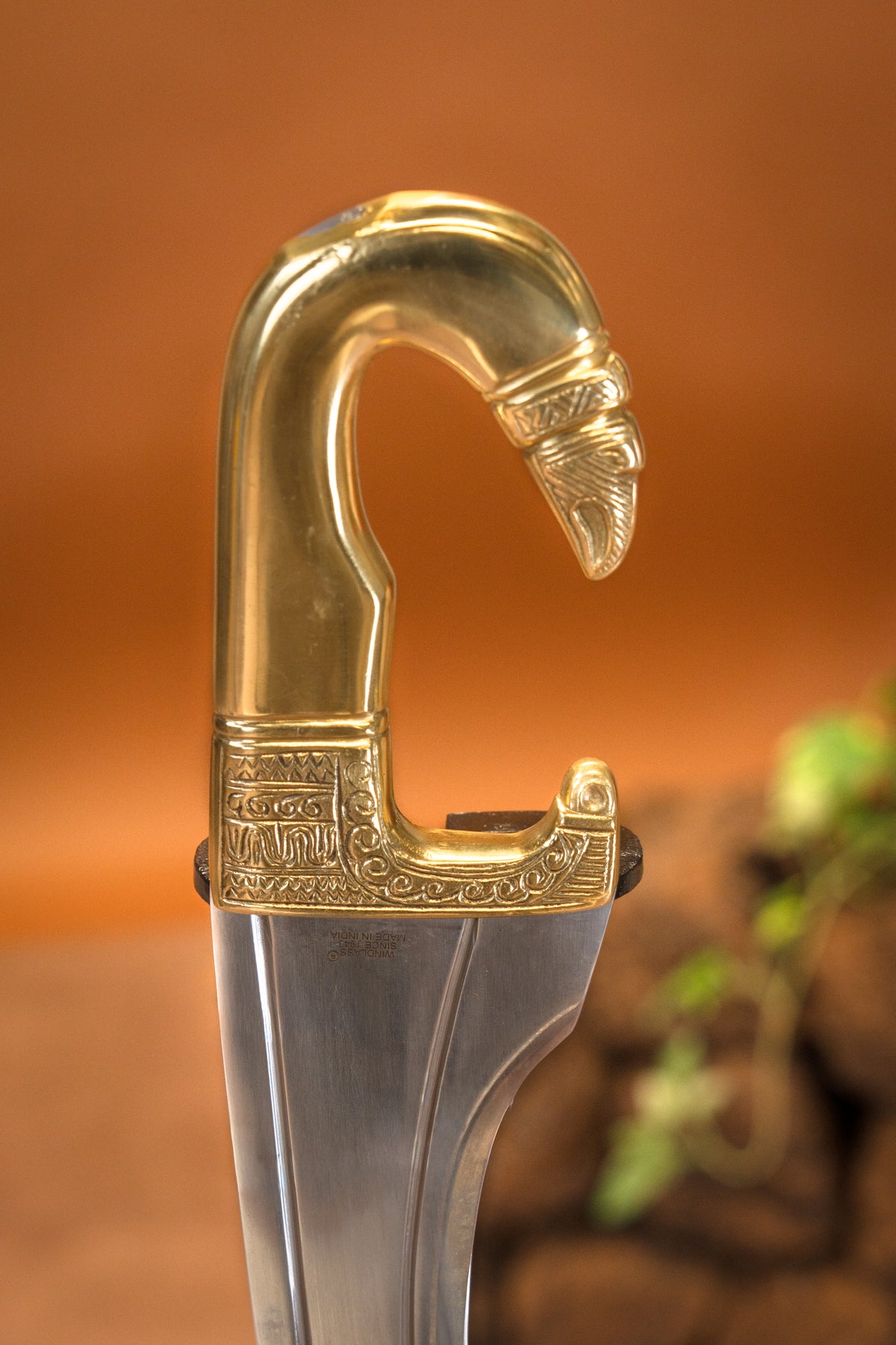 Grecka kopis Medusa, półostry