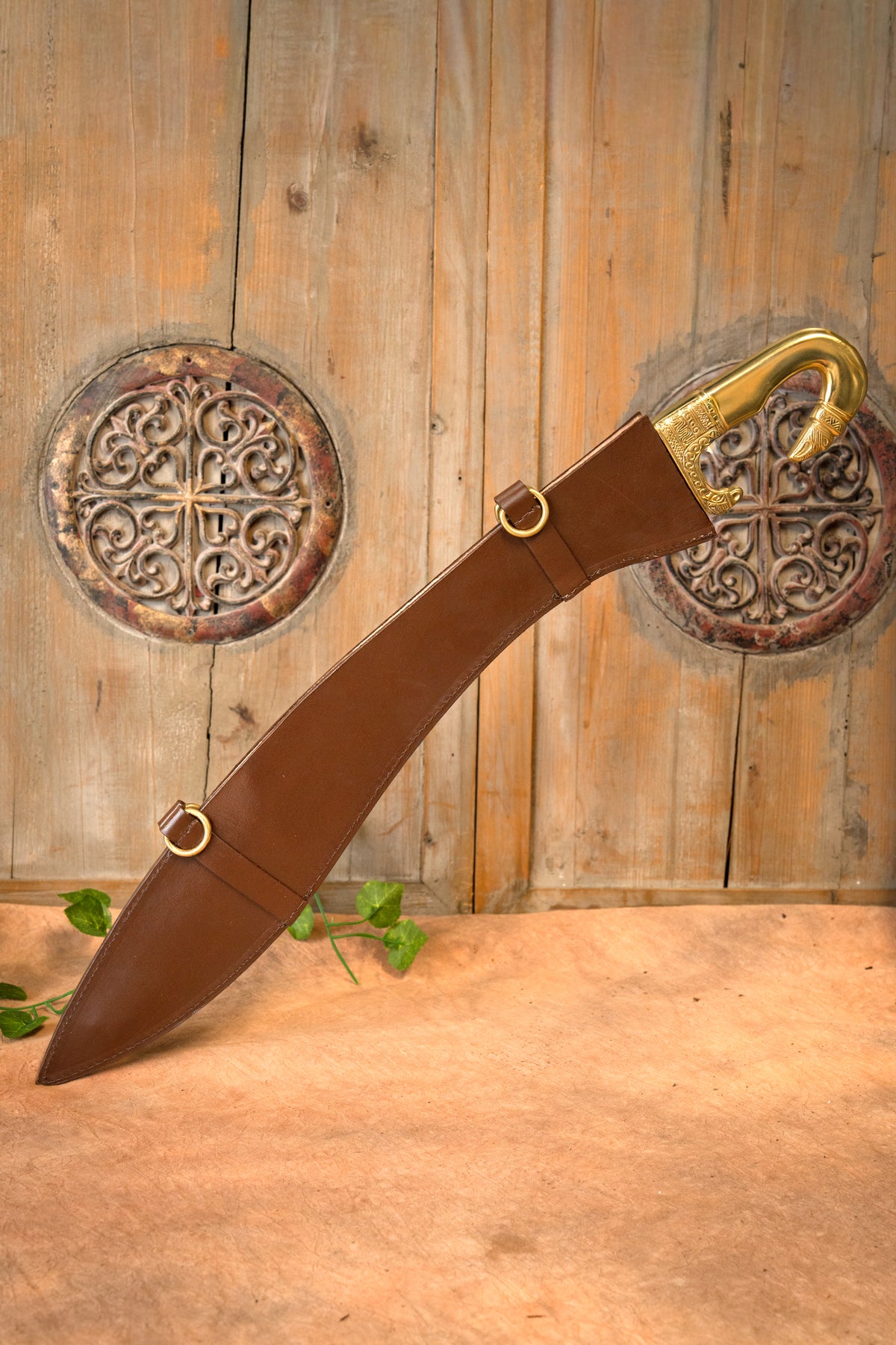 Grecka kopis Medusa, półostry