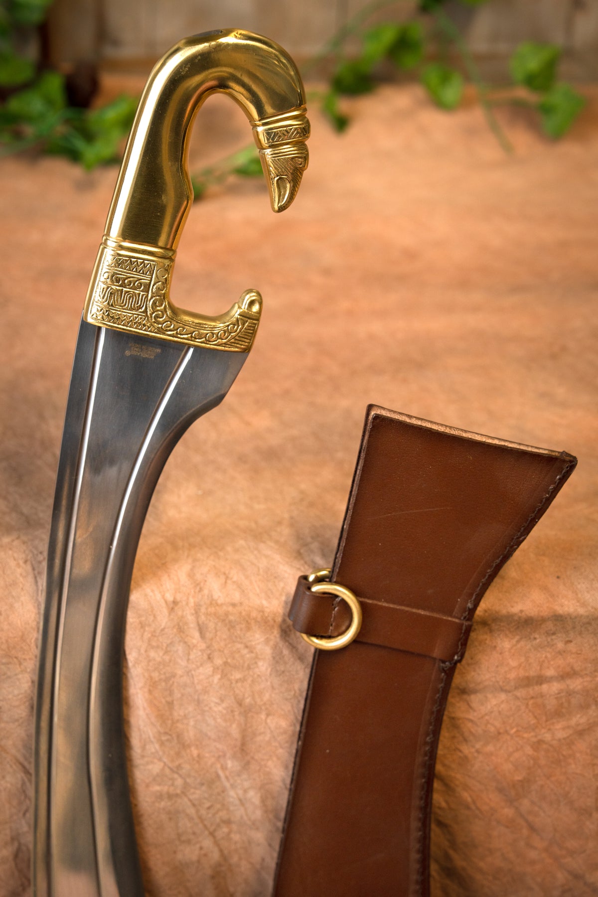 Grecka kopis Medusa, półostry