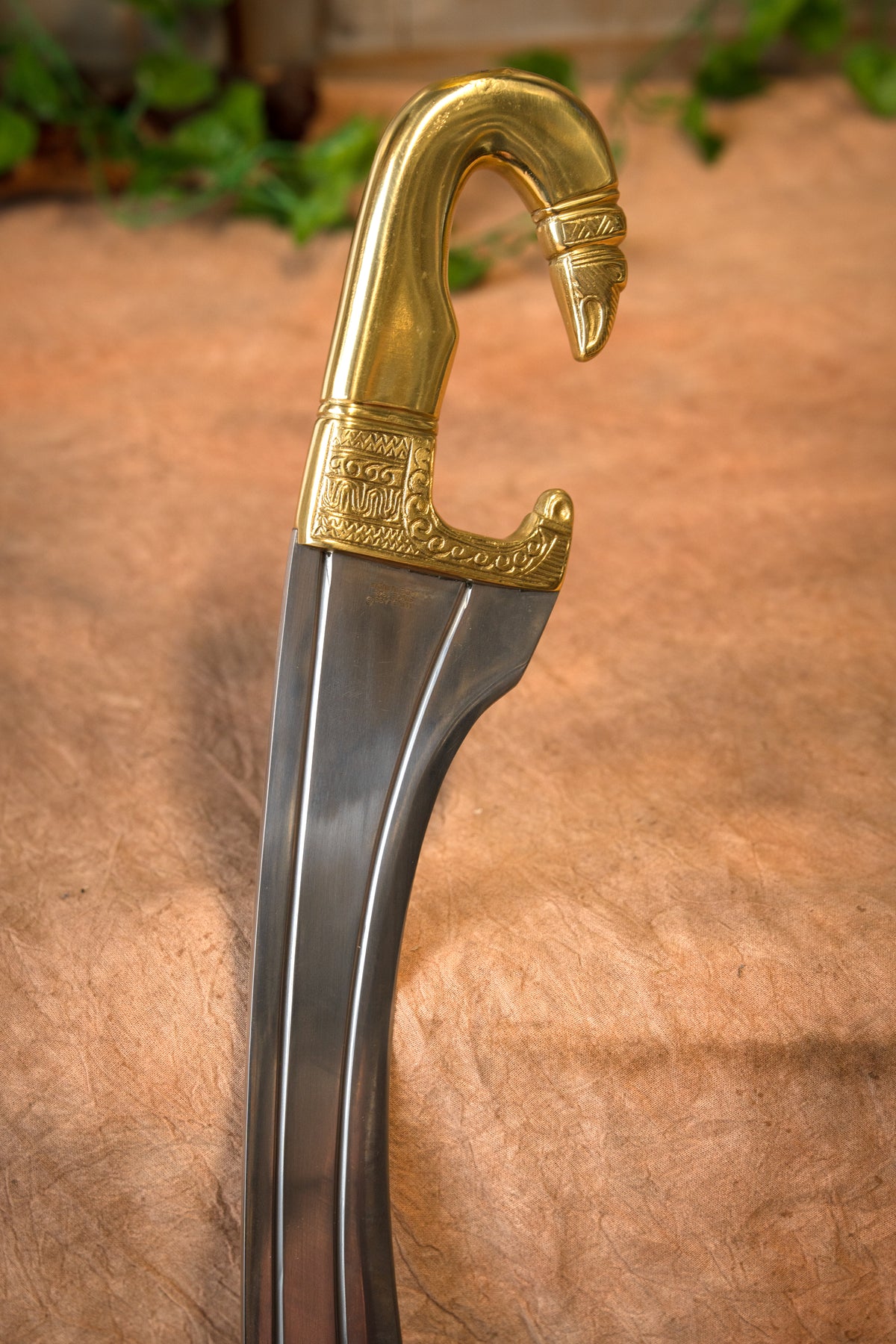 Grecka kopis Medusa, półostry