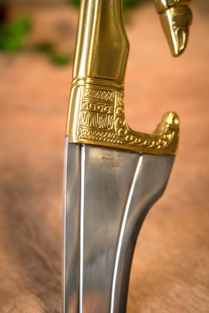 Grecka kopis Medusa, półostry