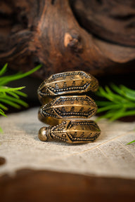 Germanic Ring Himlingoje, bronze