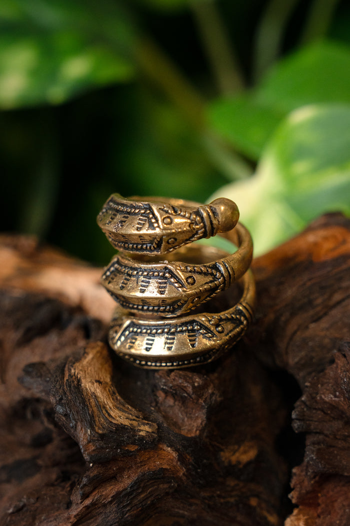 Anello dell’Età del Ferro Himlingøje, bronzo