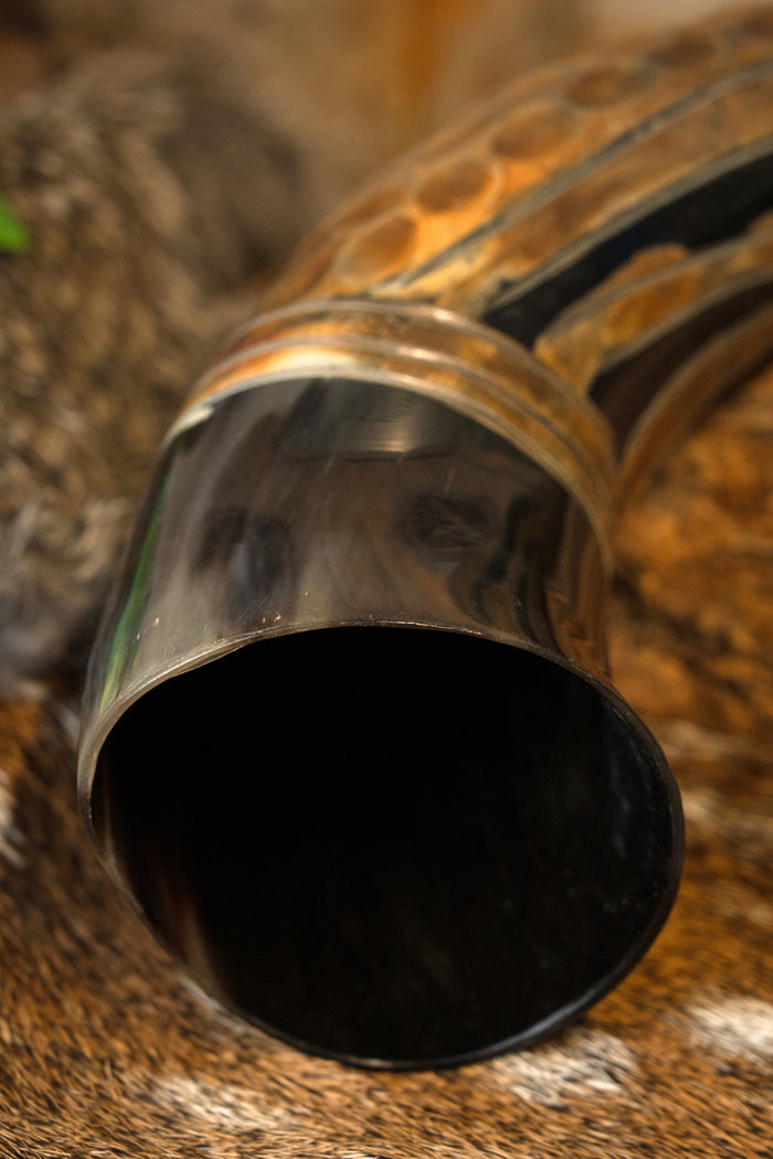 Dragon drinking horn, 500-650 ml