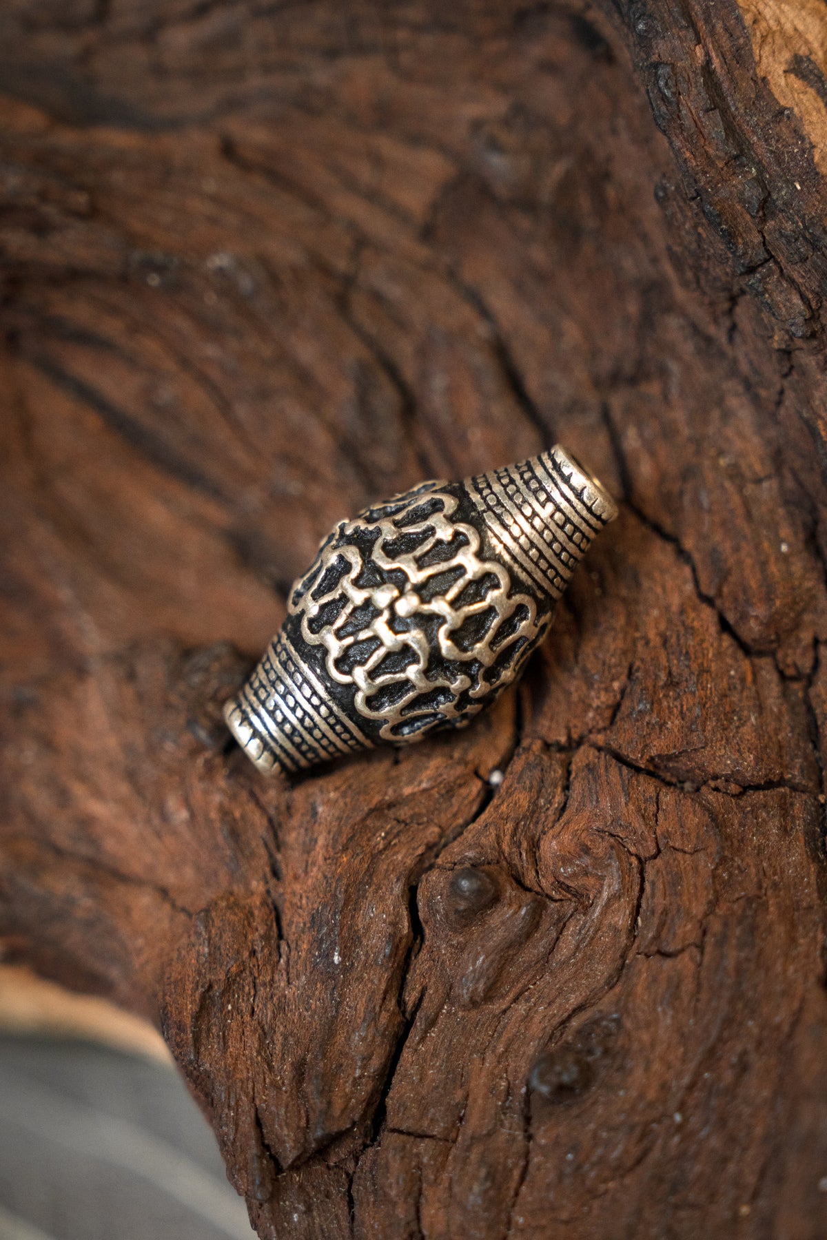 Perla vichinga Svezia, bronzo argentato