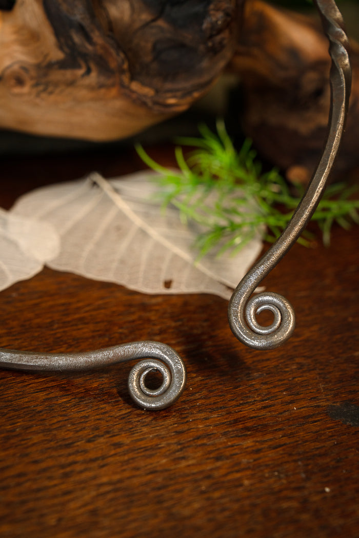 Galijski torques, żelazo