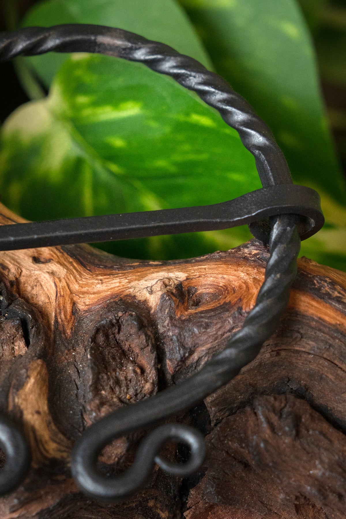Kleine hoefijzer fibula Dunadd, ijzer
