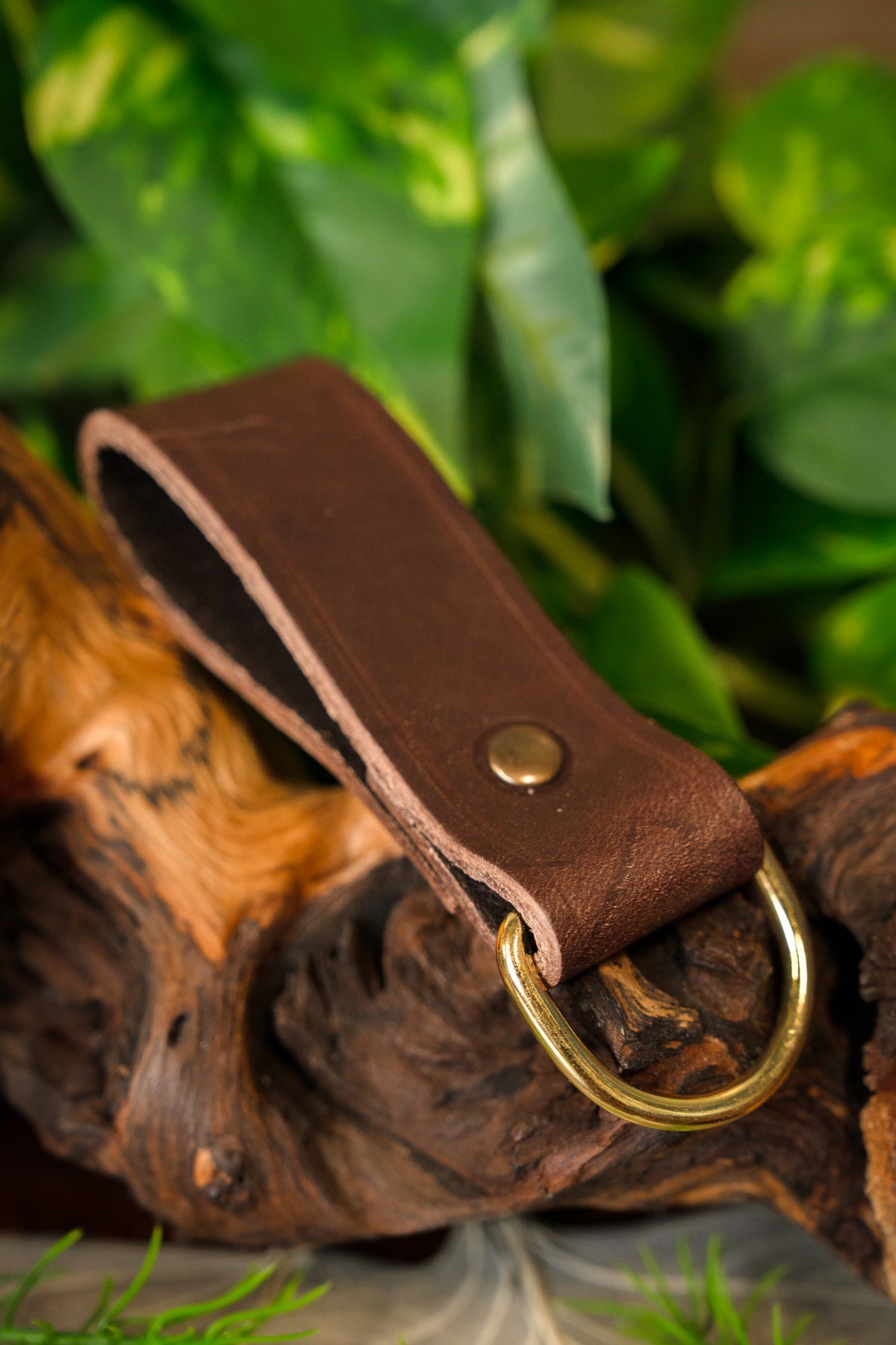 Porte-ceinture pour accessoires, brun
