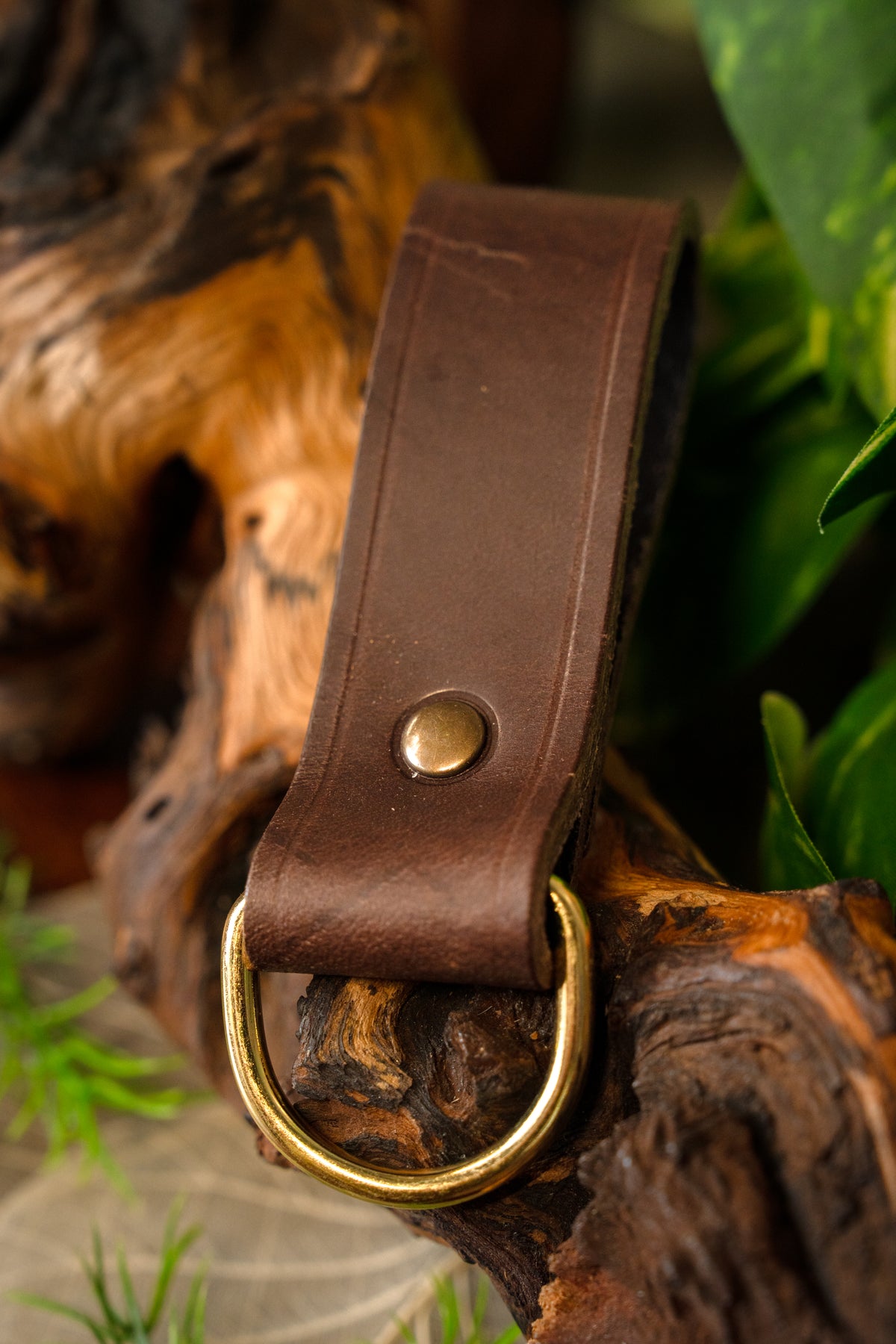 Porte-ceinture pour accessoires, brun