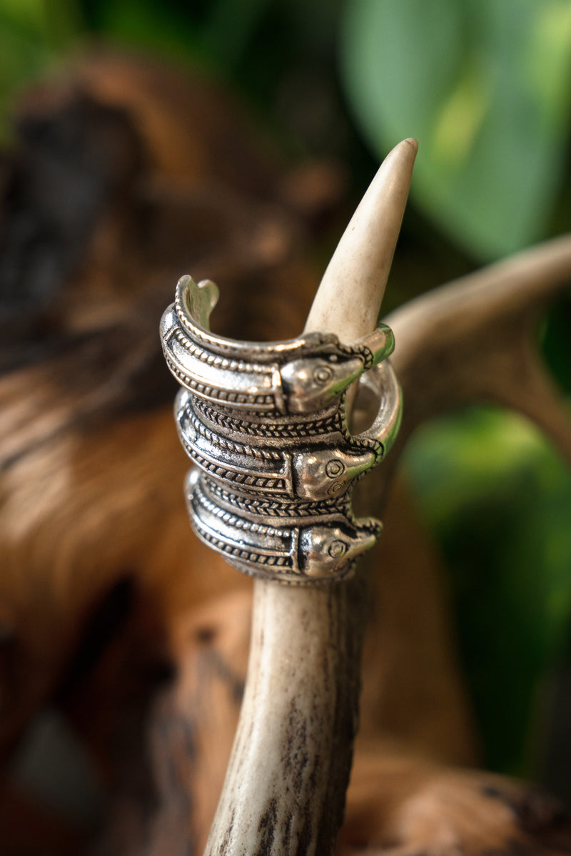 Germanic Iron Age ring Segerstad, silvered bronze