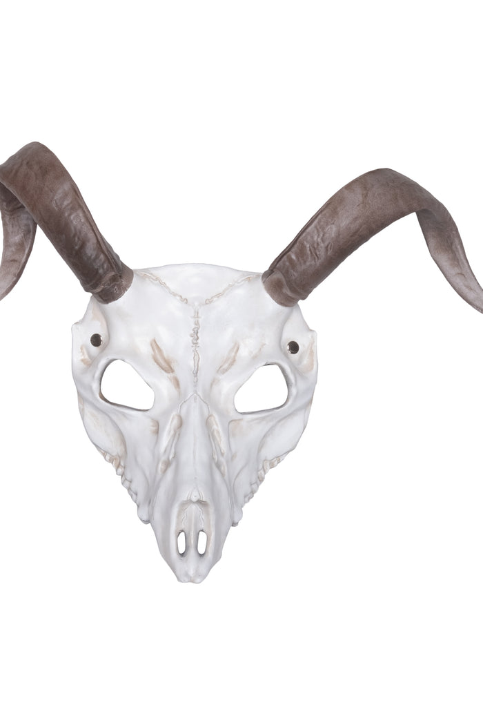 Masker berggeit schedel - vooraanzicht