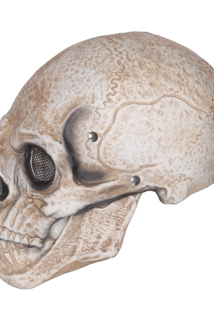 Masker schedel met onderkaak - detail 2
