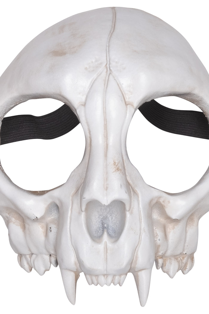 Masker primaat schedel - vooraanzicht