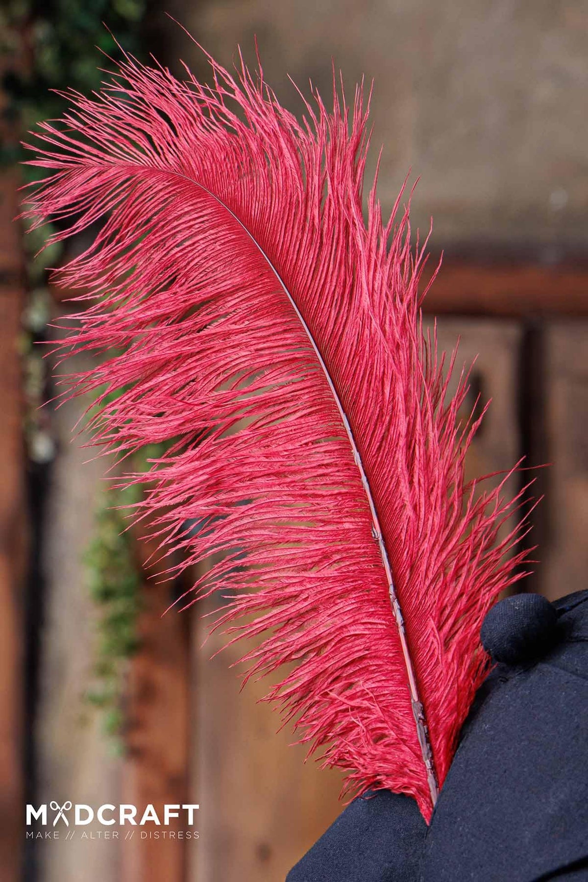 pene de strut 45-50 cm, roșu închis