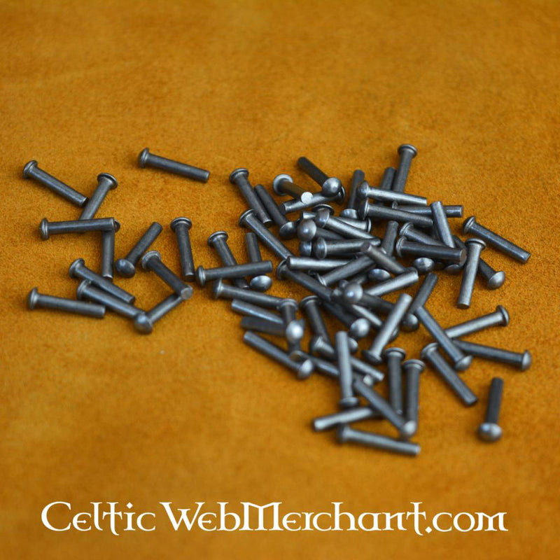 100 stålnitter, 12 mm