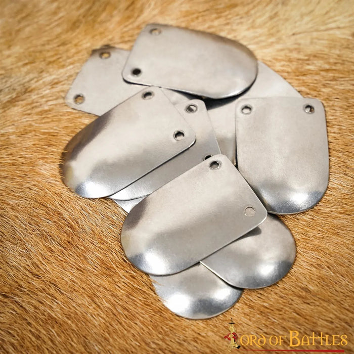 Early Medieval scale armor, 100x