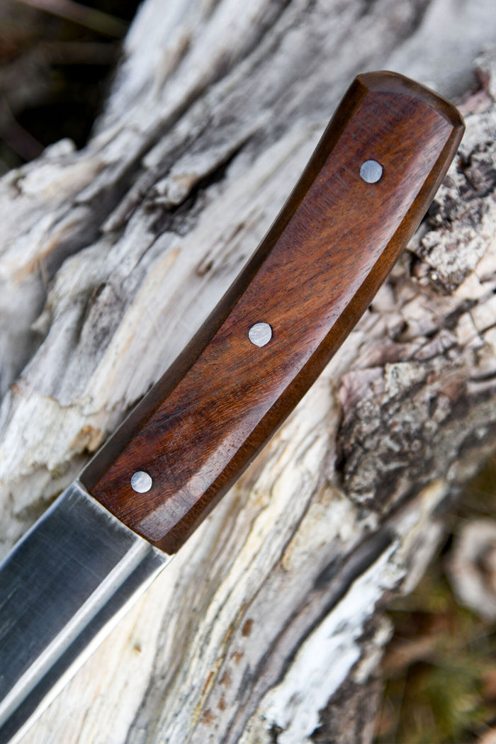 Scramasax Roermond, bot (battle-ready)