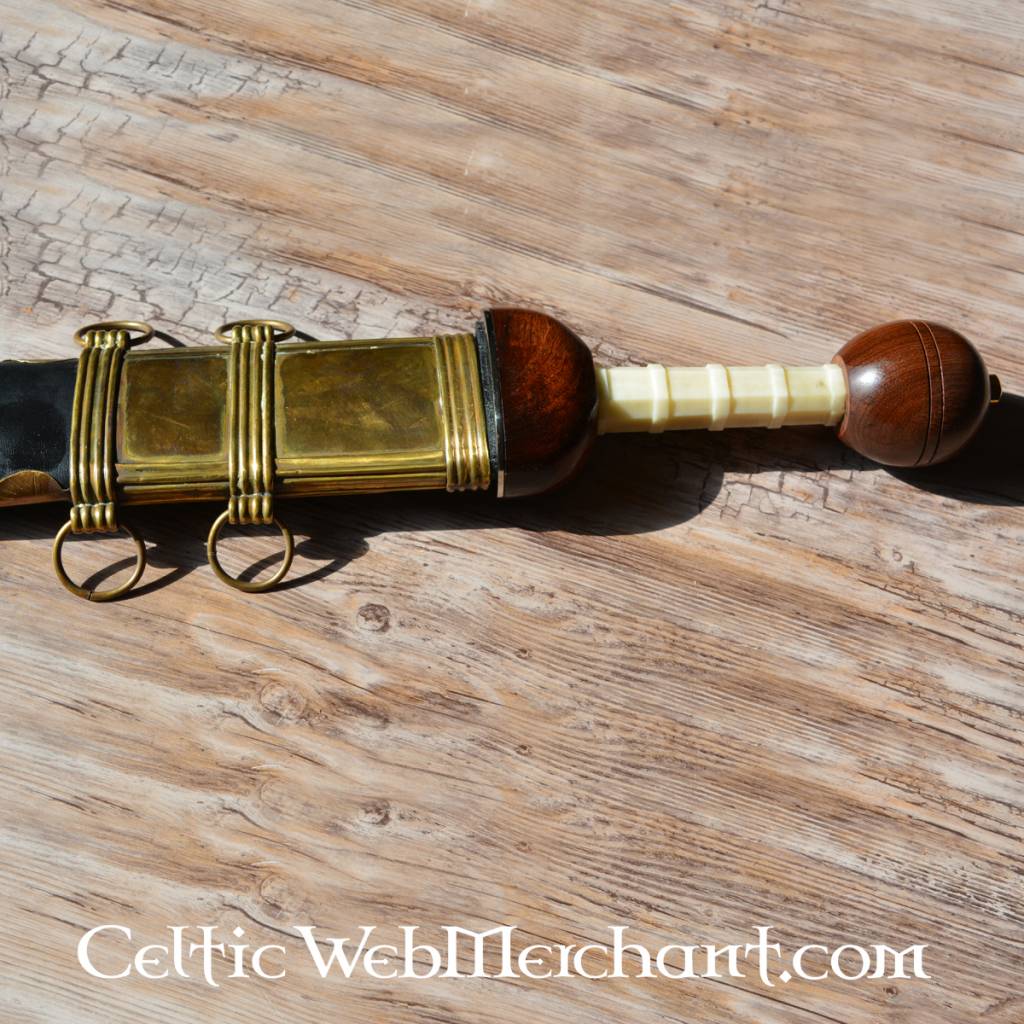 Gladius Noviomagus Mainz-Fulham, halbscharf