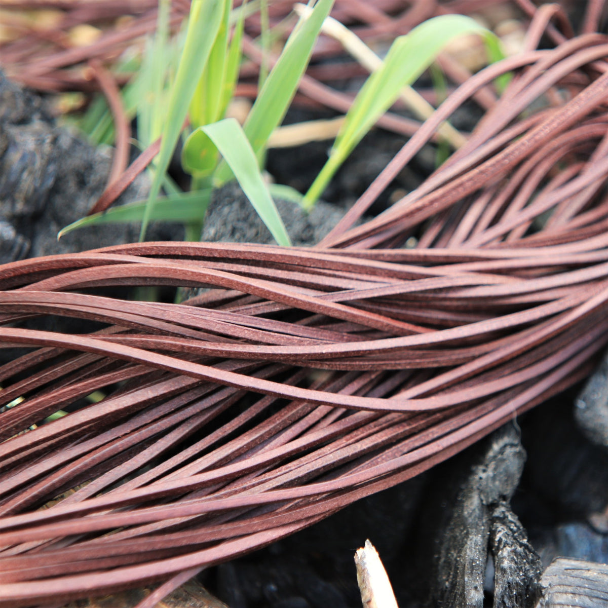 Skórzany rzemień, zestaw 10 sztuk, brązowy