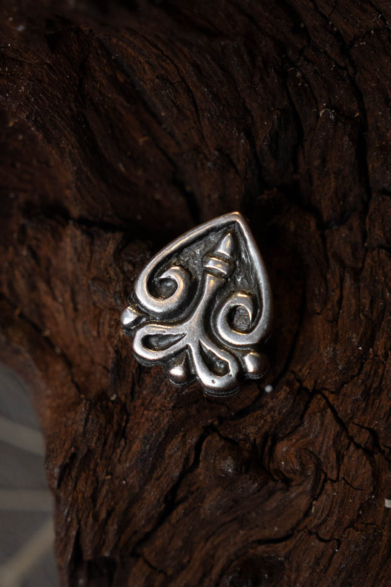 Vikingebæltebeslag Chernikvov, zamak