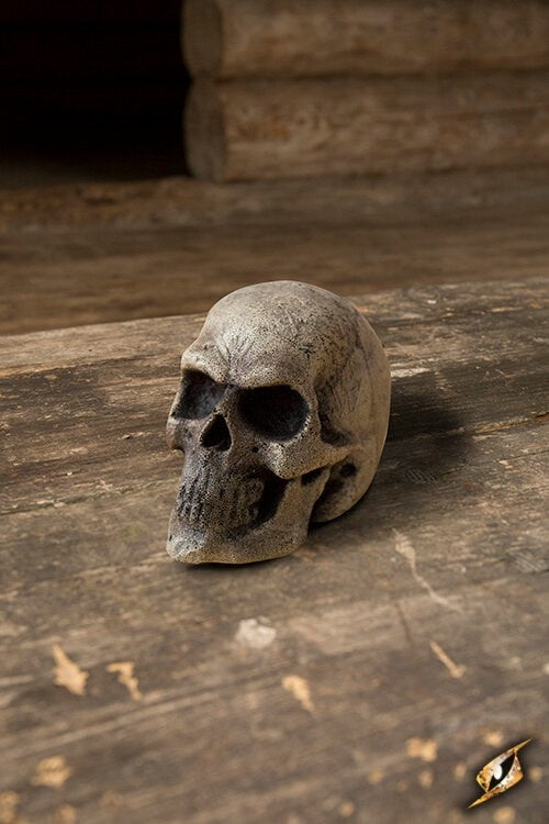 LARP skull, steel color