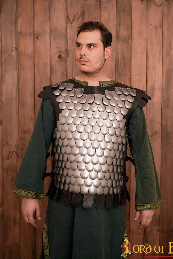 Armatura a scaglie, lorica squamata, acciaio