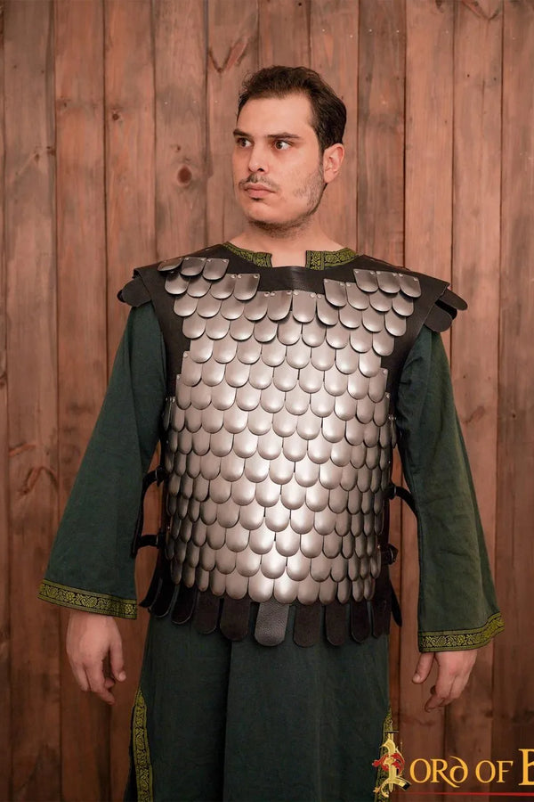 Schaalpantser, lorica squamata, staal
