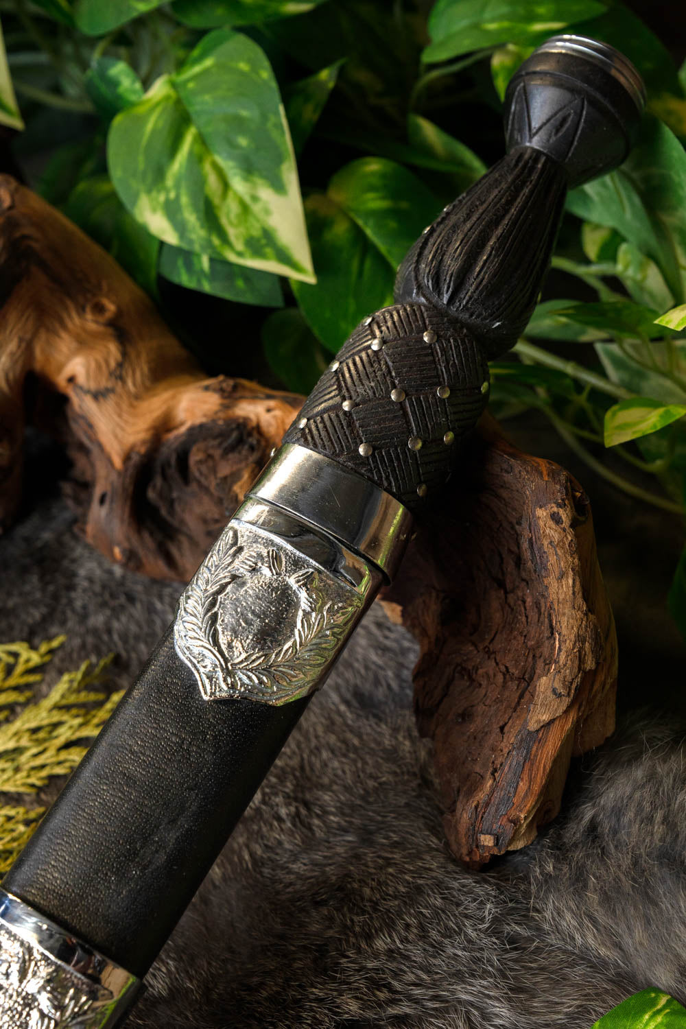 Verzierter Dirk, halbscharf