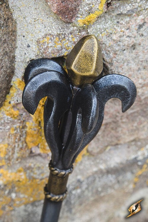 LARP sotanuija fleur de lys