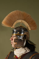 Romersk hjelmkam, hvid