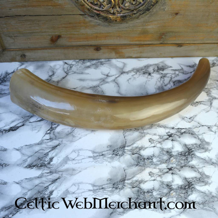 Wikiński róg sygnałowy