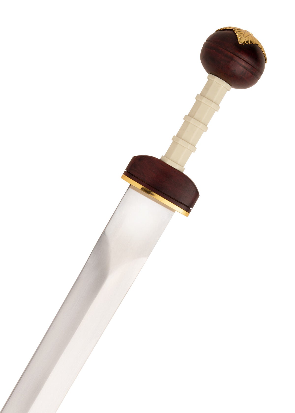 Gladius Spiculus, pusiau aštrus