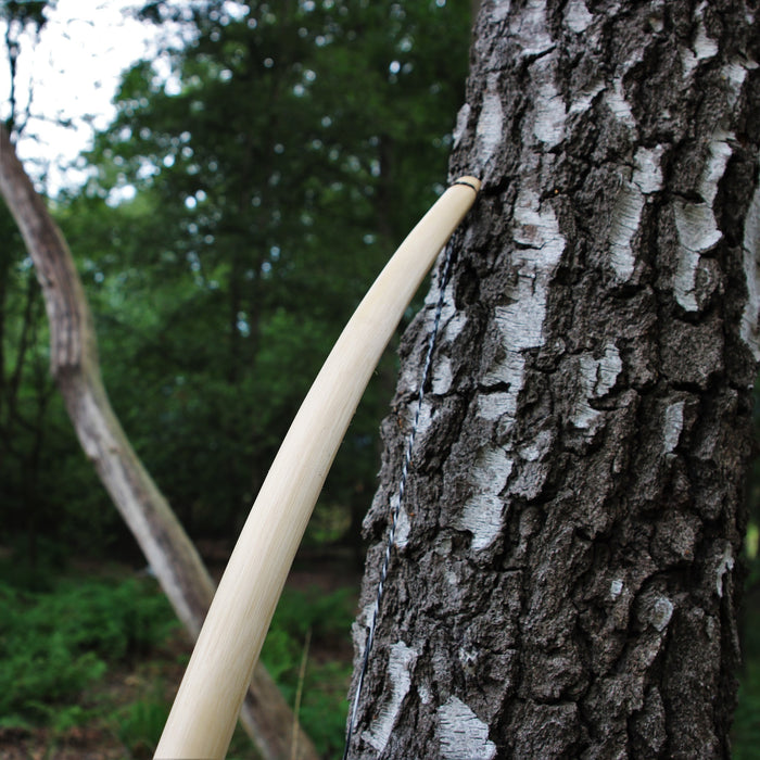 Marksman arc reconstitution / GN, 70" (178 cm) marron clair, 25 lbs