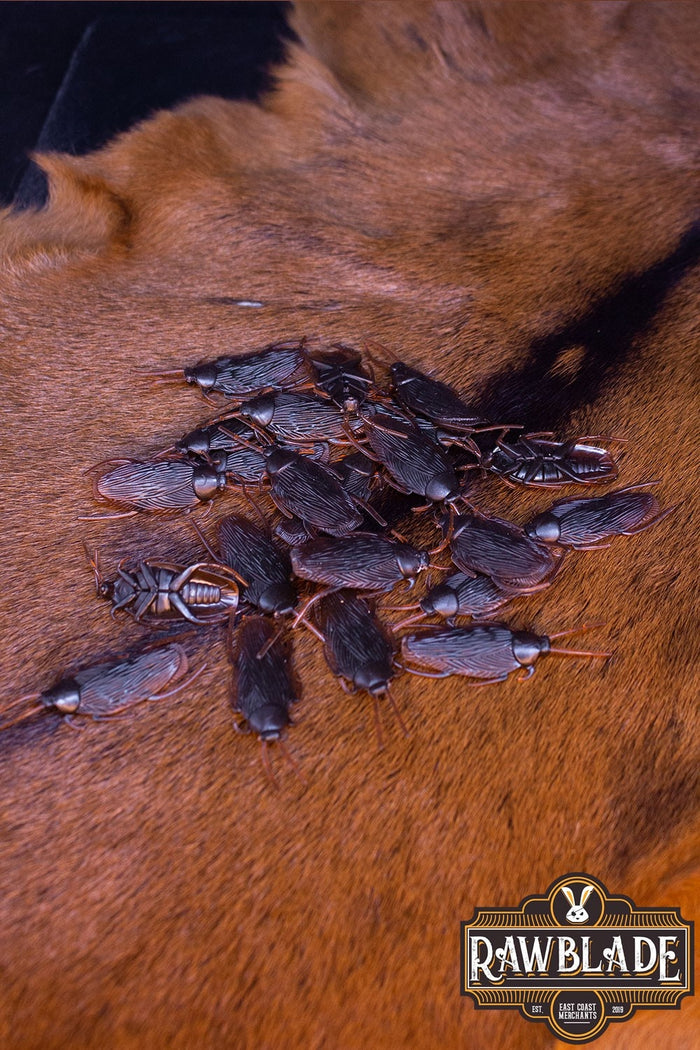 LARP Kakkerlakken, set van 20