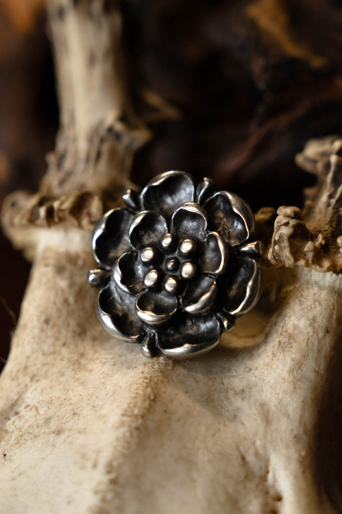 Tudor rose belt fitting (set of 5 pieces), silvered bronze