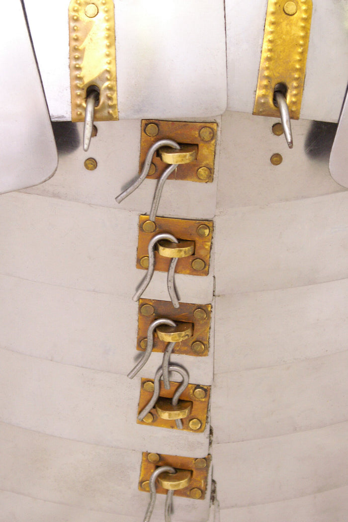 Lorica segmentata Newstead, 1,2 mm