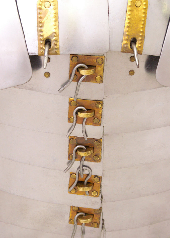 Lorica segmentata Newstead, 1.2 mm