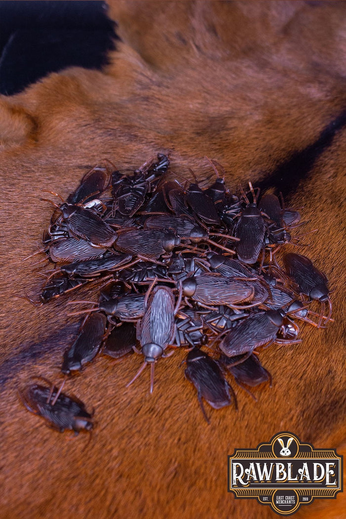 LARP Kakkerlakken, set van 20