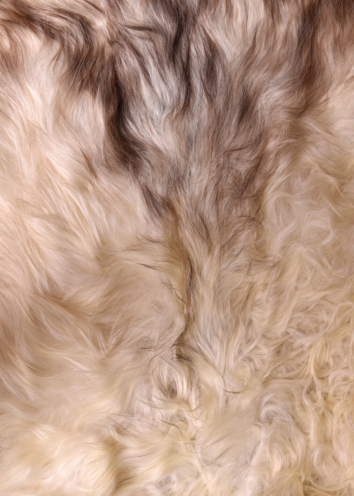 Norweska biała skóra owcza