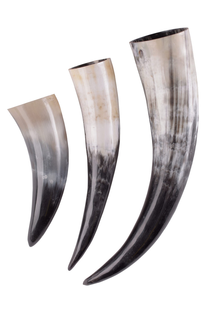 Drinking horn, several sizes
