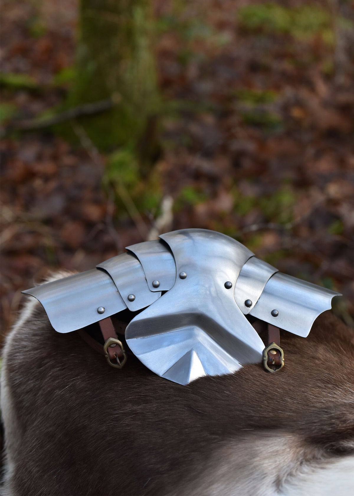 Poleyns (knæbeskyttere), 15. årh., 1,2 mm