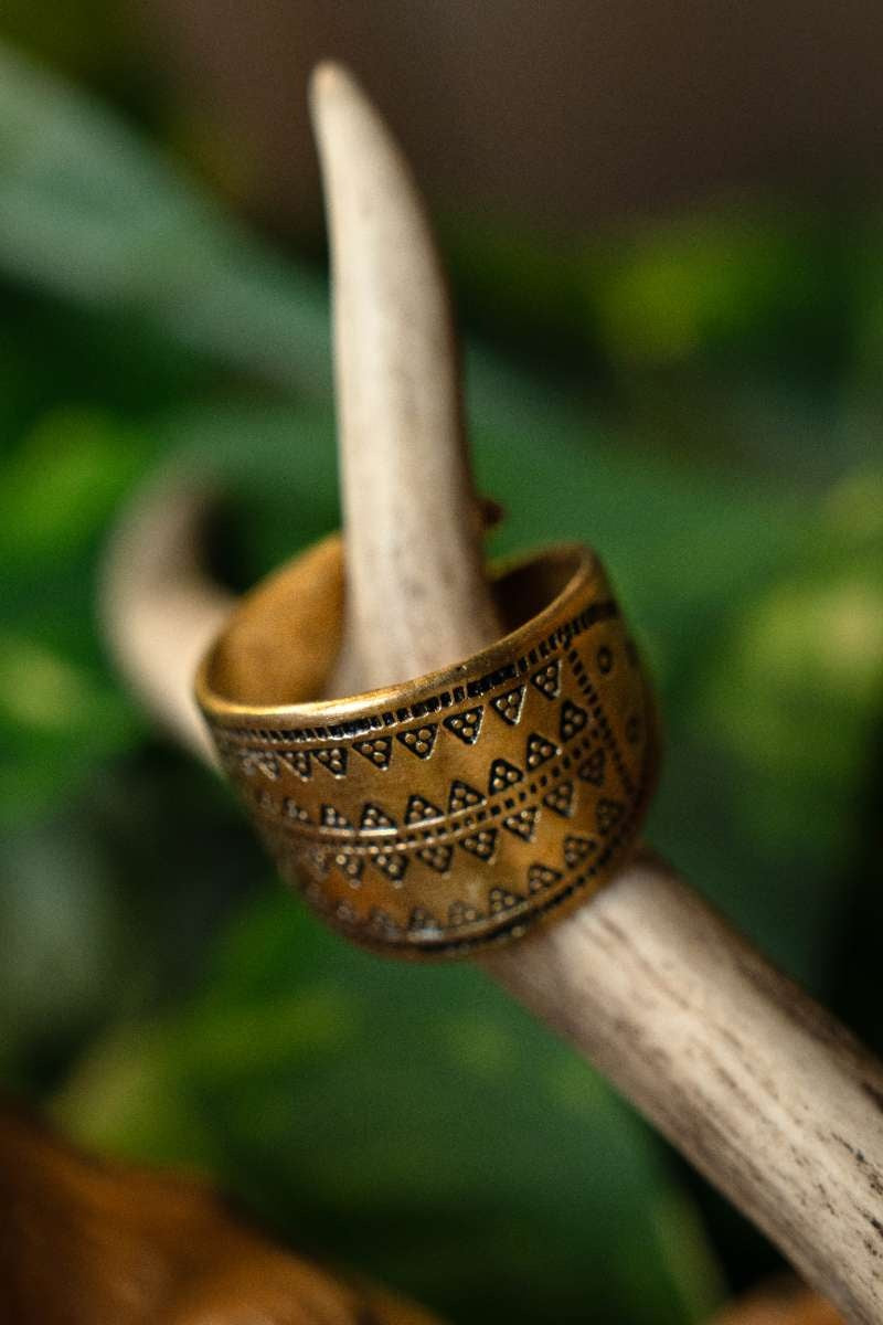 Rusvik-ring Novgorod, bronze