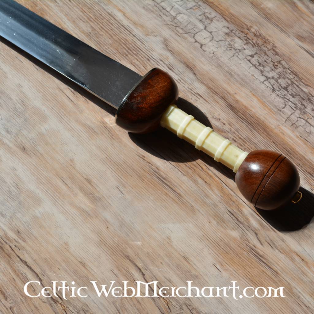 Gladius Noviomagus Mainz-Fulham, halbscharf