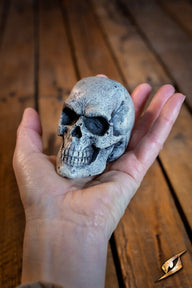 LARP skull, steel color